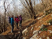 09 Nel bosco osservando i tipi di piante 